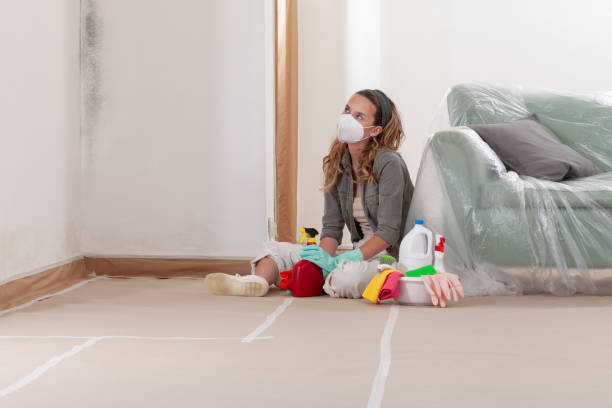 Reliable Mold Inspection contractor in Apollo Beach, FL by WQB Mold Removal